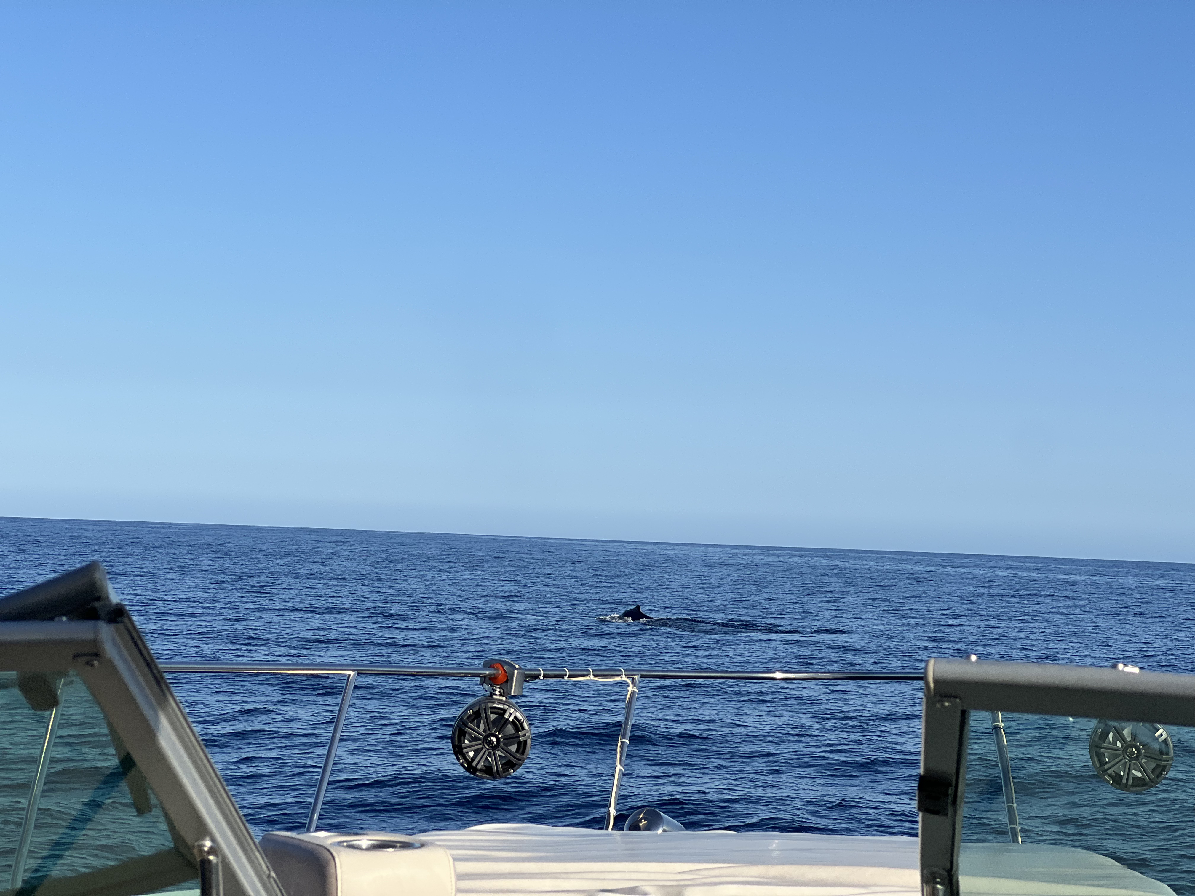 ./2024/13 - Cabo/IMG_4702.jpg